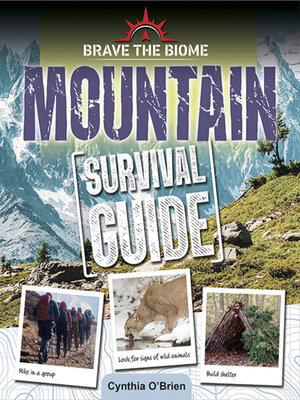 cover image of Mountain Survival Guide